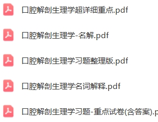 口腔解剖生理学